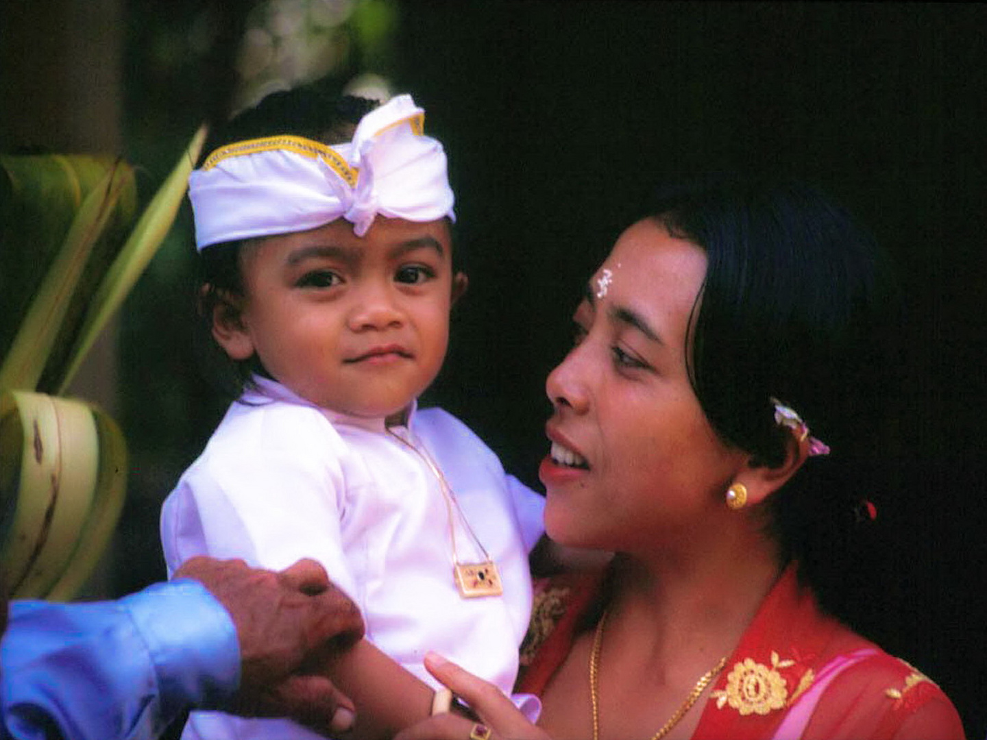 Der kleine Prinz von Bali