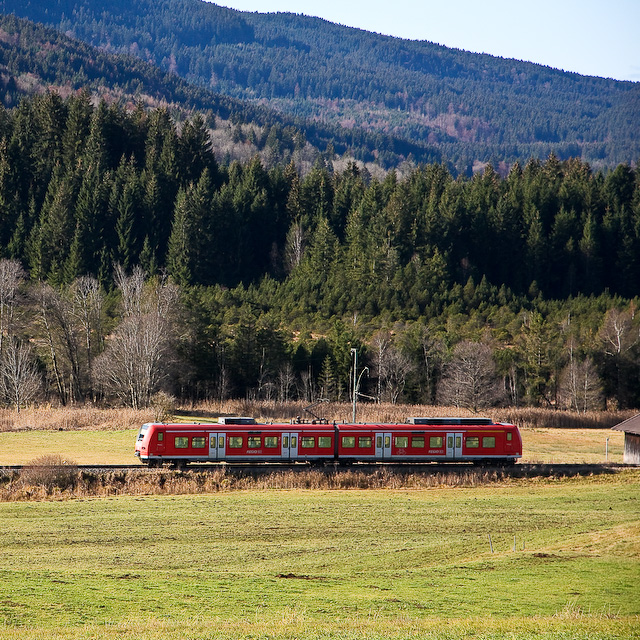 Der kleine Rote im großen Grün