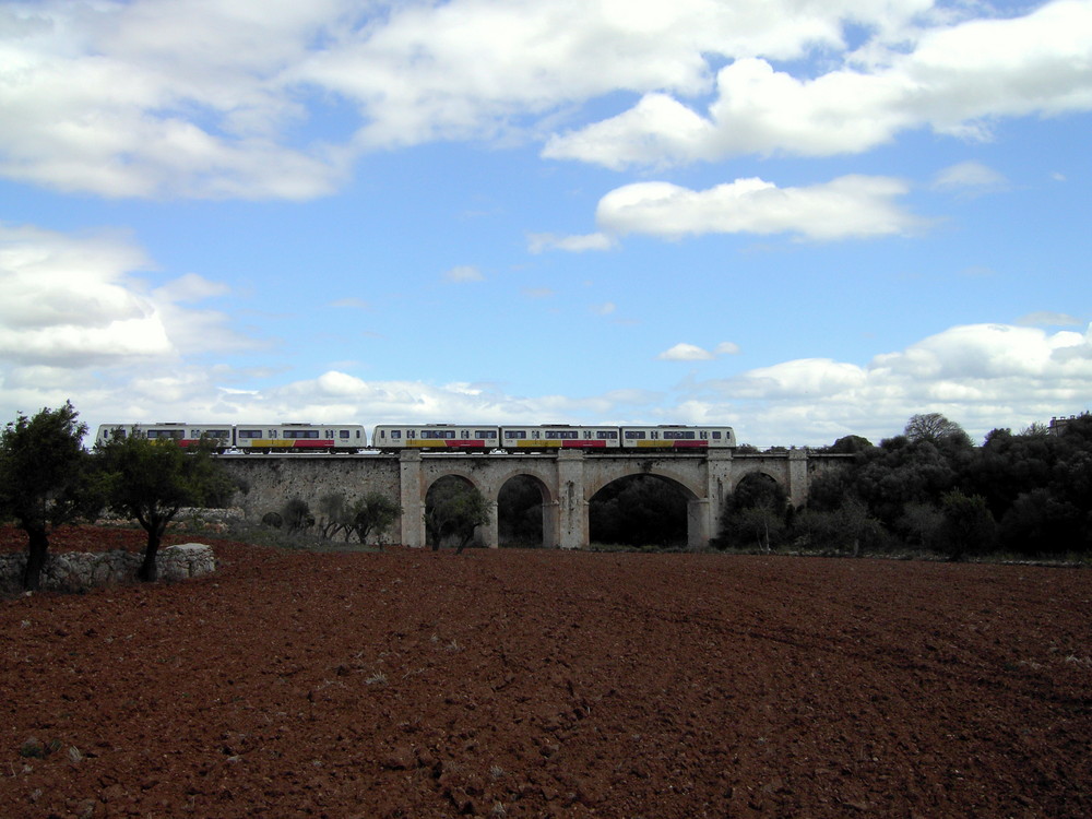 Der kleine Rot/Gelbe von Mallorca.02