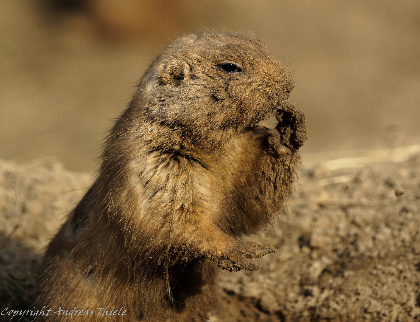 Der kleine Schmutzfink ;)