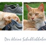 Der kleine Schuhliebhaber