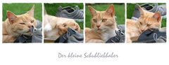 Der kleine Schuhliebhaber