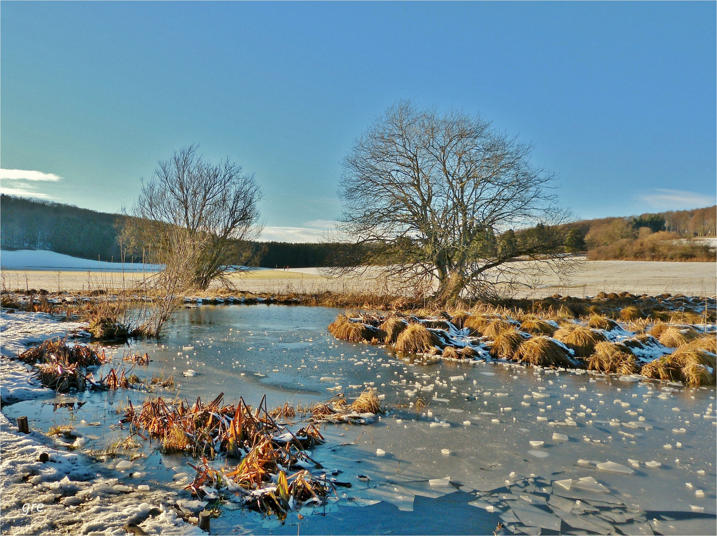 Der kleine See im Torfmoor