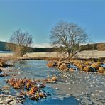 Der kleine See im Torfmoor