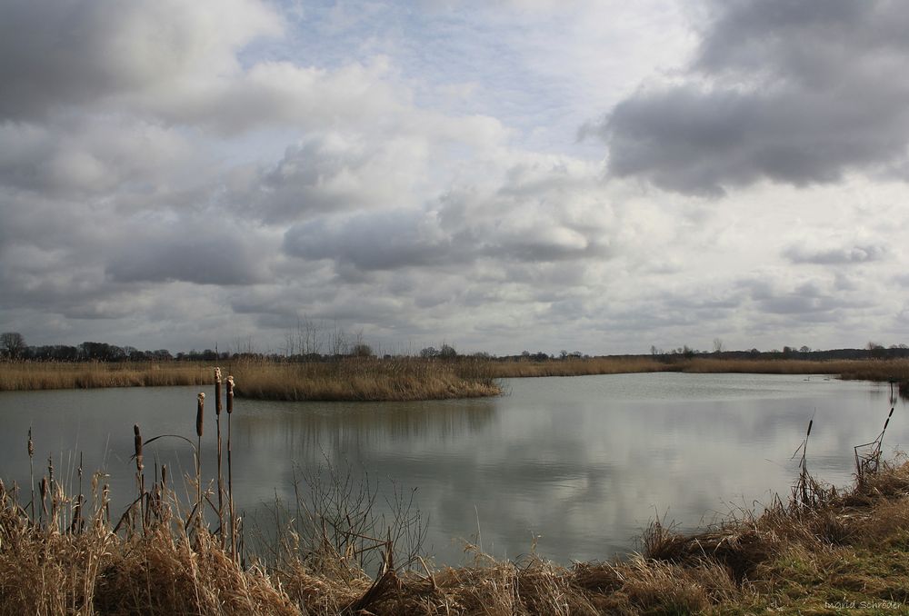 der kleine See in der Feldmark