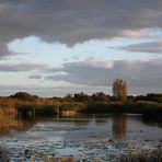 Der kleine See in der Feldmark