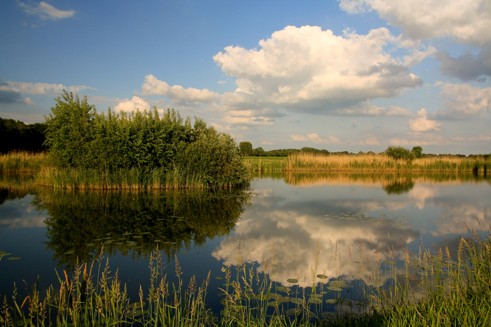 Der kleine See in der Feldmark