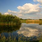 Der kleine See in der Feldmark