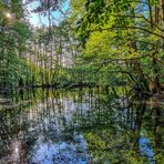 Der kleine See mitten im Wald