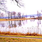 Der kleine See neben der Havel