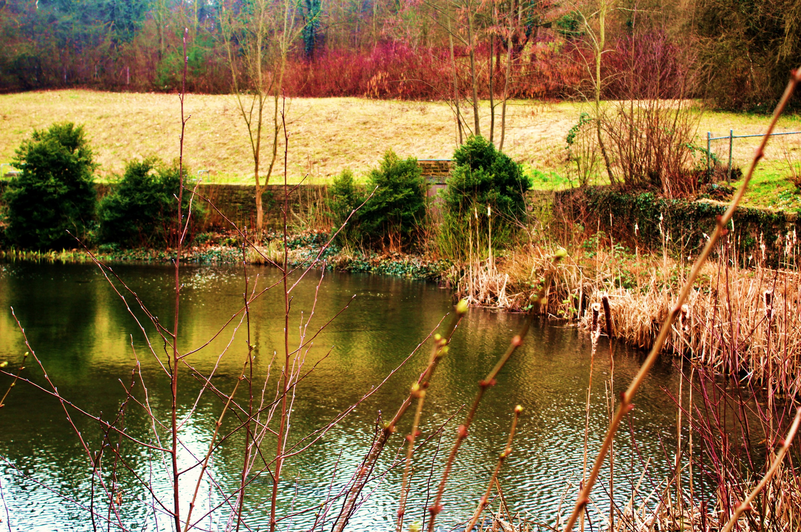 der kleine See und der Garten rund um das Kloster Denkendorf