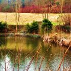 der kleine See und der Garten rund um das Kloster Denkendorf