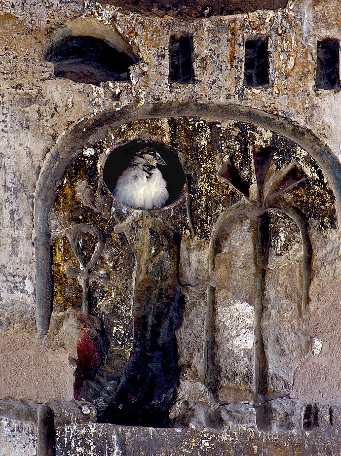 Der kleine Spatz fühlt sich im Tempel von Medinet Habu wohl....