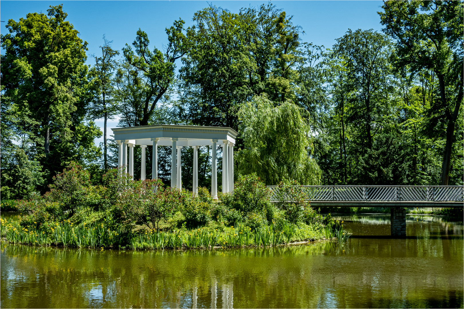 Der Kleine Tannenwald