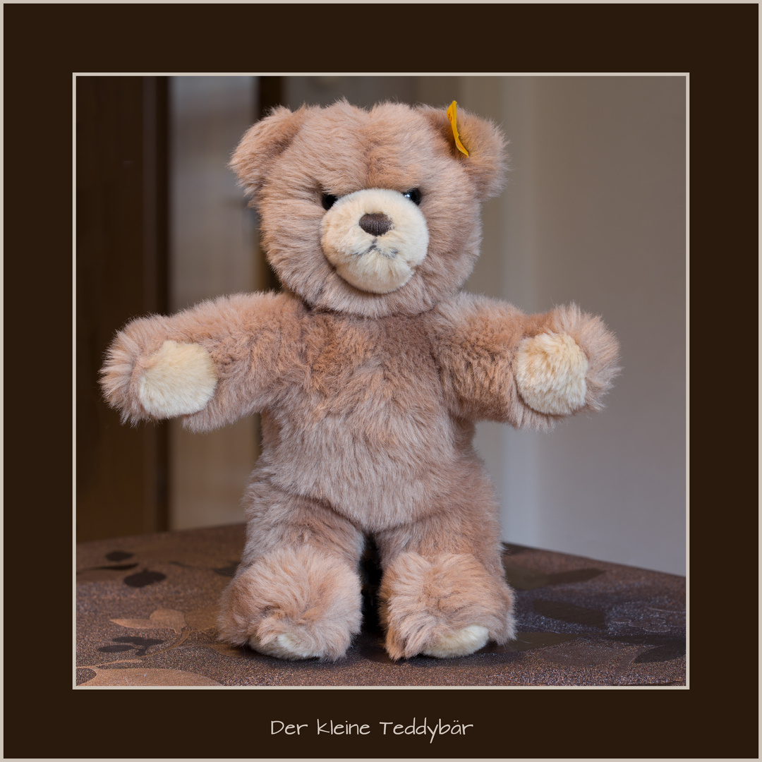 Der kleine Teddybär