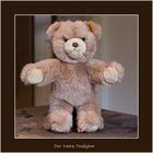 Der kleine Teddybär