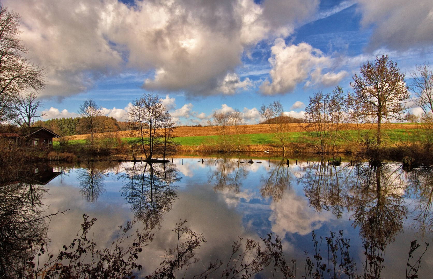 Der kleine Teich 