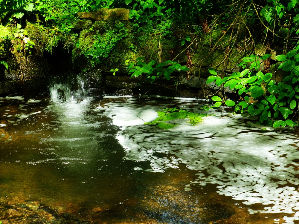 Der kleine Teich Foto & Bild landschaft, bach, fluss & see, see