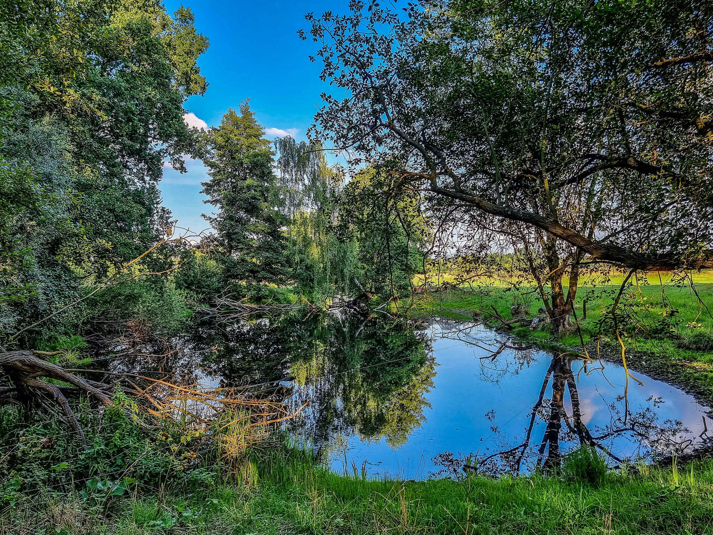 Der kleine Teich auf der Wiese