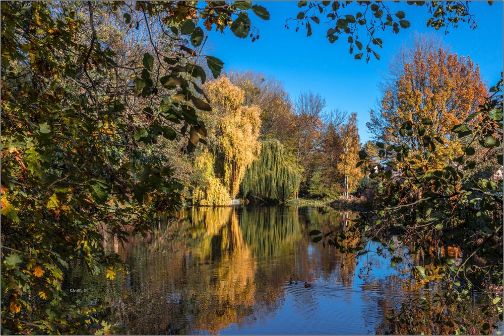  der kleine Teich Foto & Bild deutschland, europe, sachsen Bilder