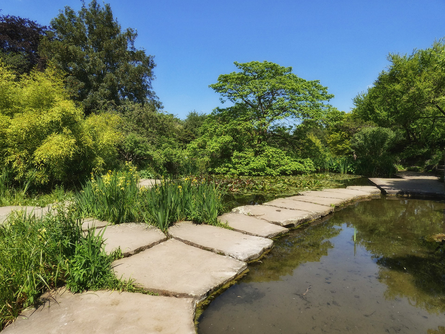 Der kleine Teich im Südpark