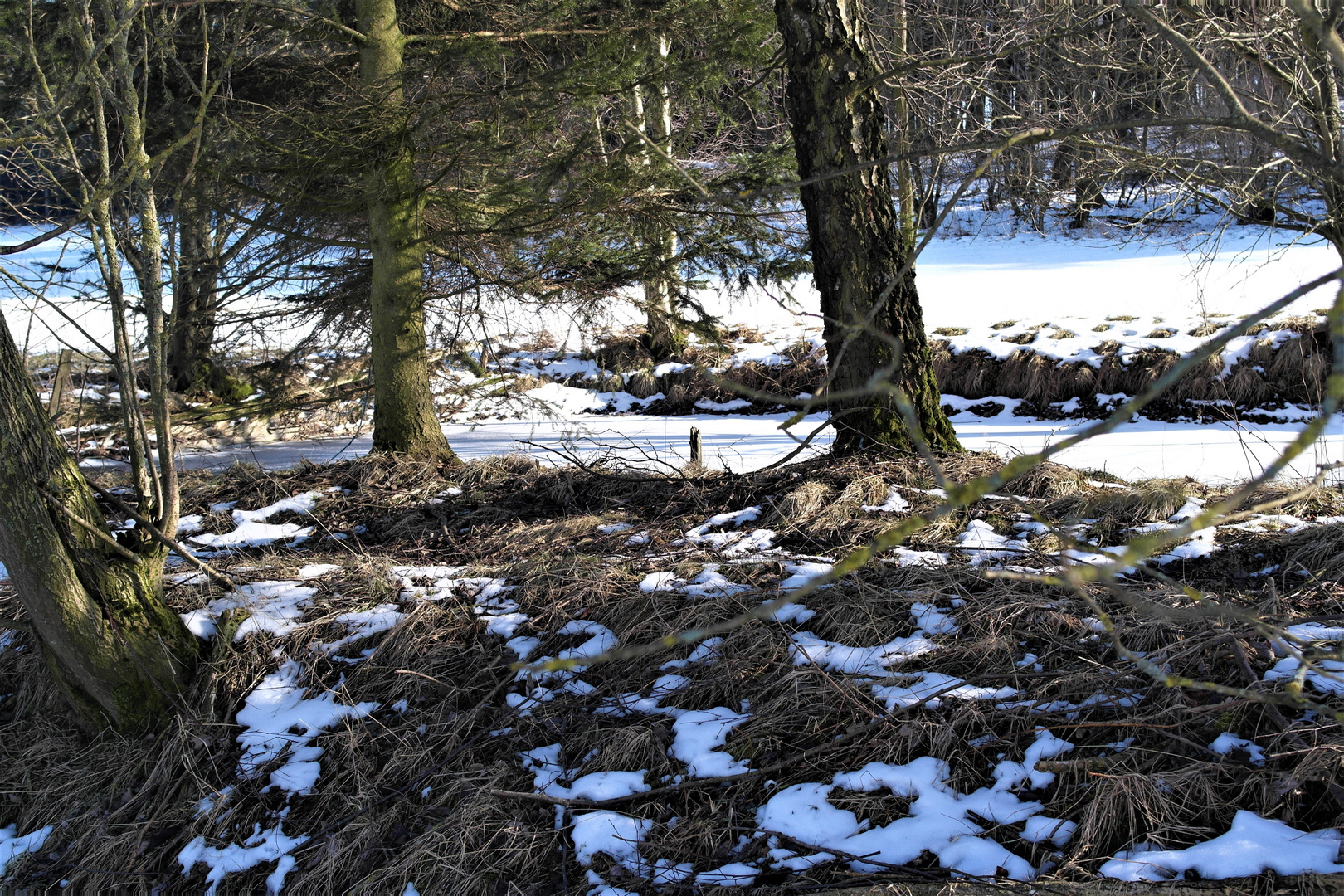 Der kleine Teich noch voll im Wintermodus