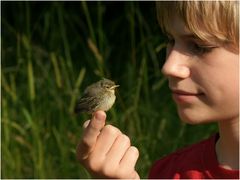 Der kleine Tierfreund