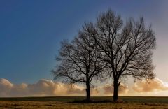 der kleine und der große klaus