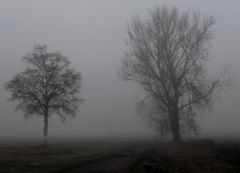 Der Kleine und Große im Nebel-Blues