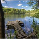 Der kleine Waldsee