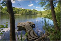 Der kleine Waldsee