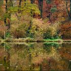 Der kleine Waldsee