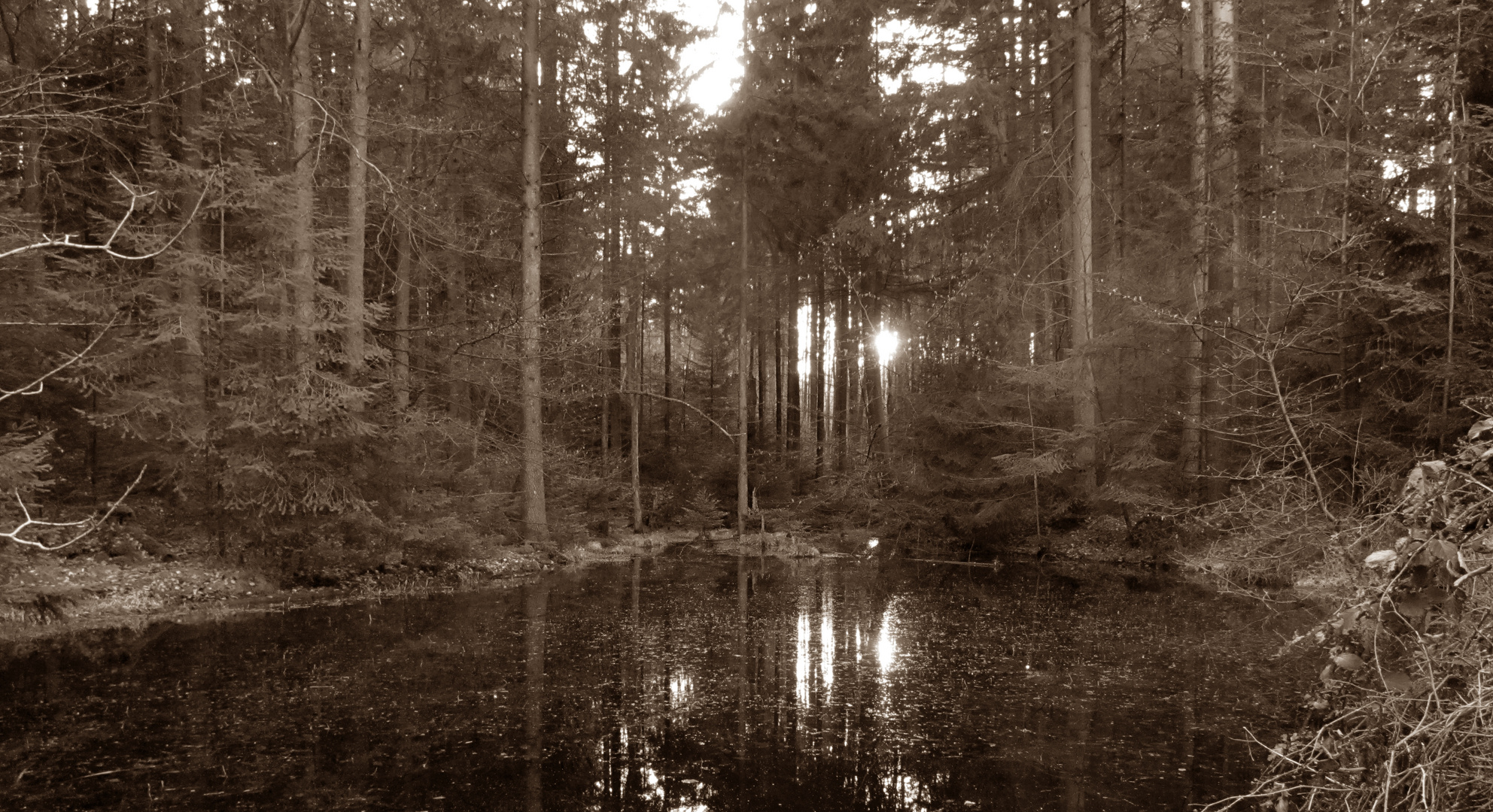 der kleine Waldsee in Wingst ...