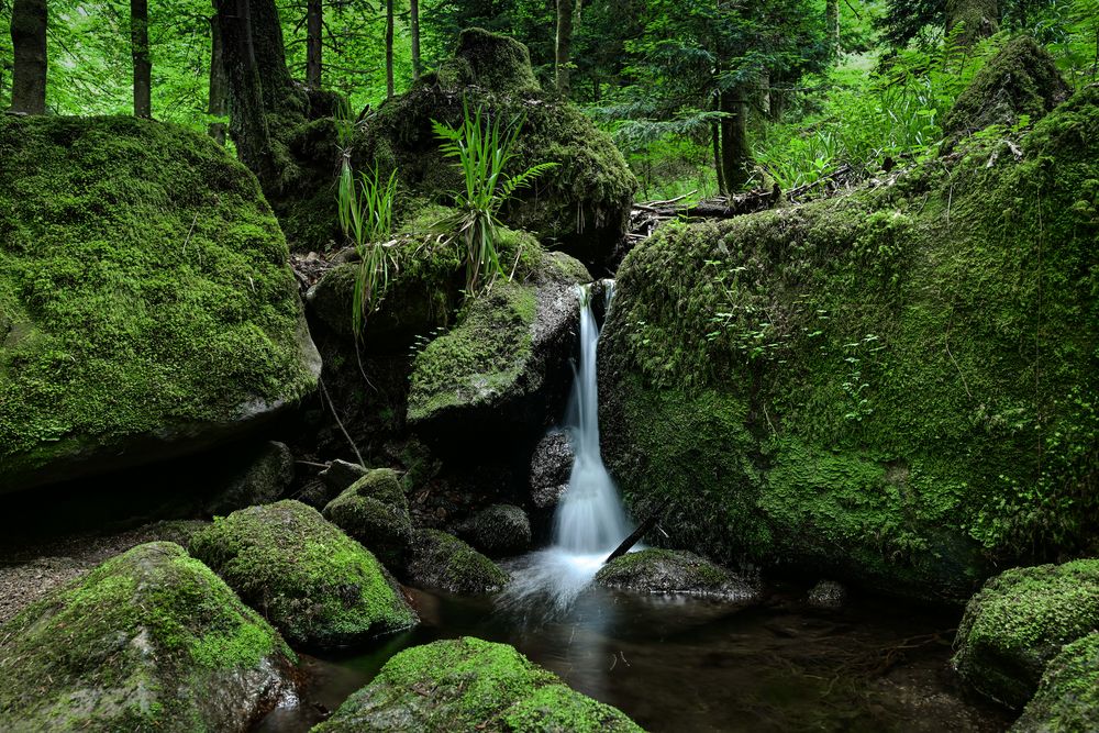 Der kleine Wasserfall