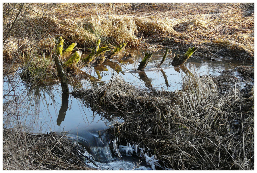 Der kleine Wasserfall