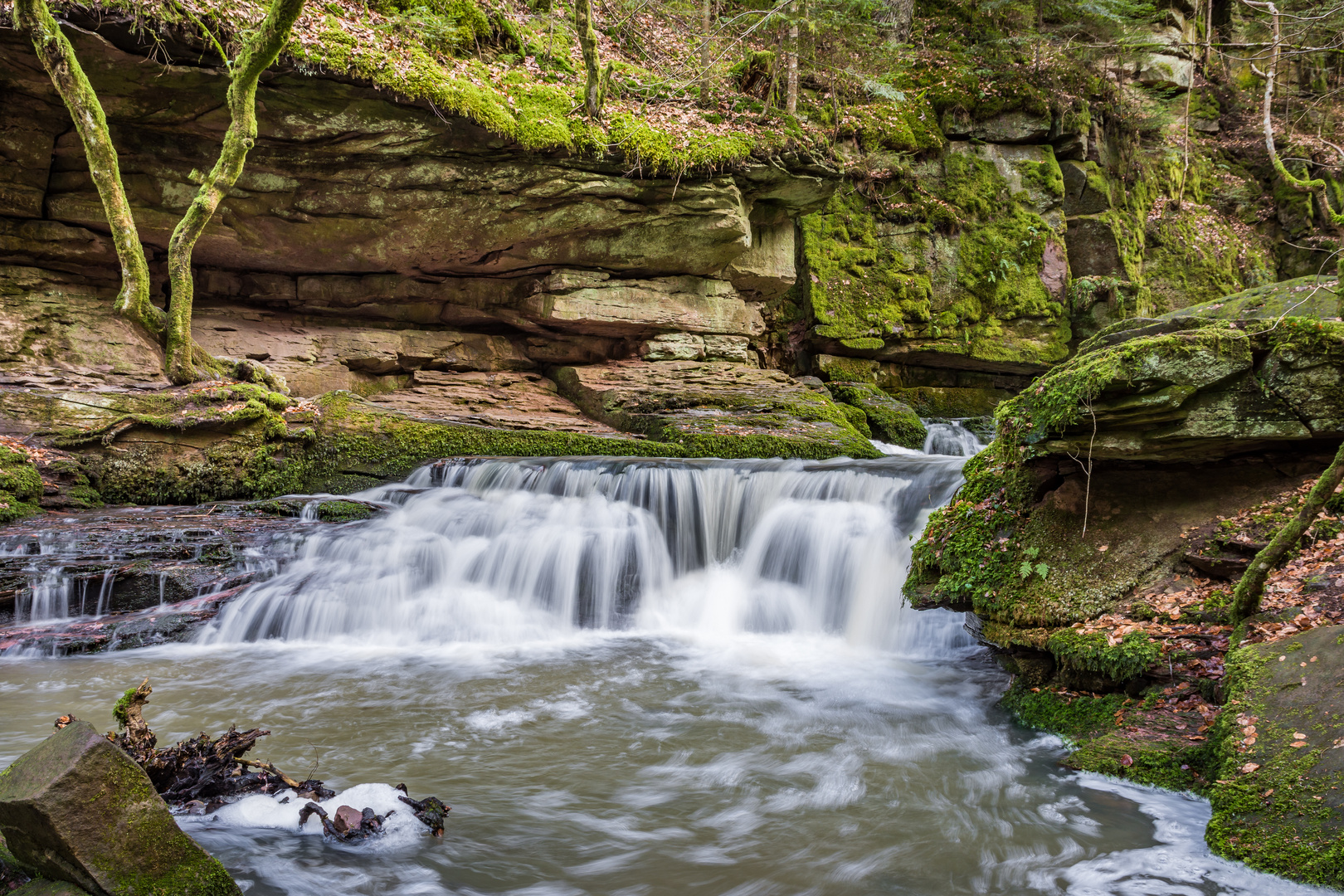 Der kleine Wasserfall im Monbachtal