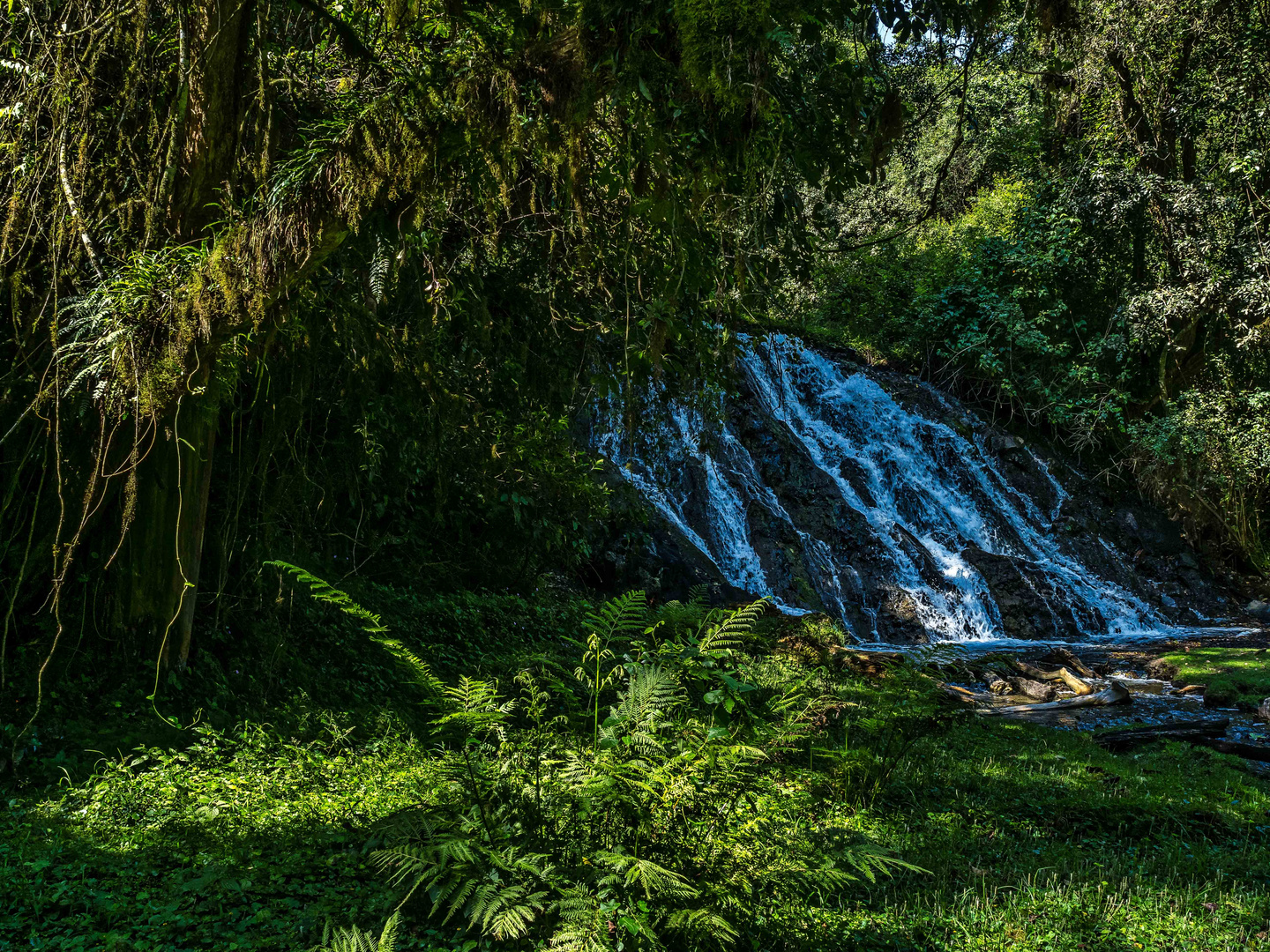 Der kleine Wasserfall im Wald