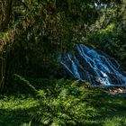 Der kleine Wasserfall im Wald