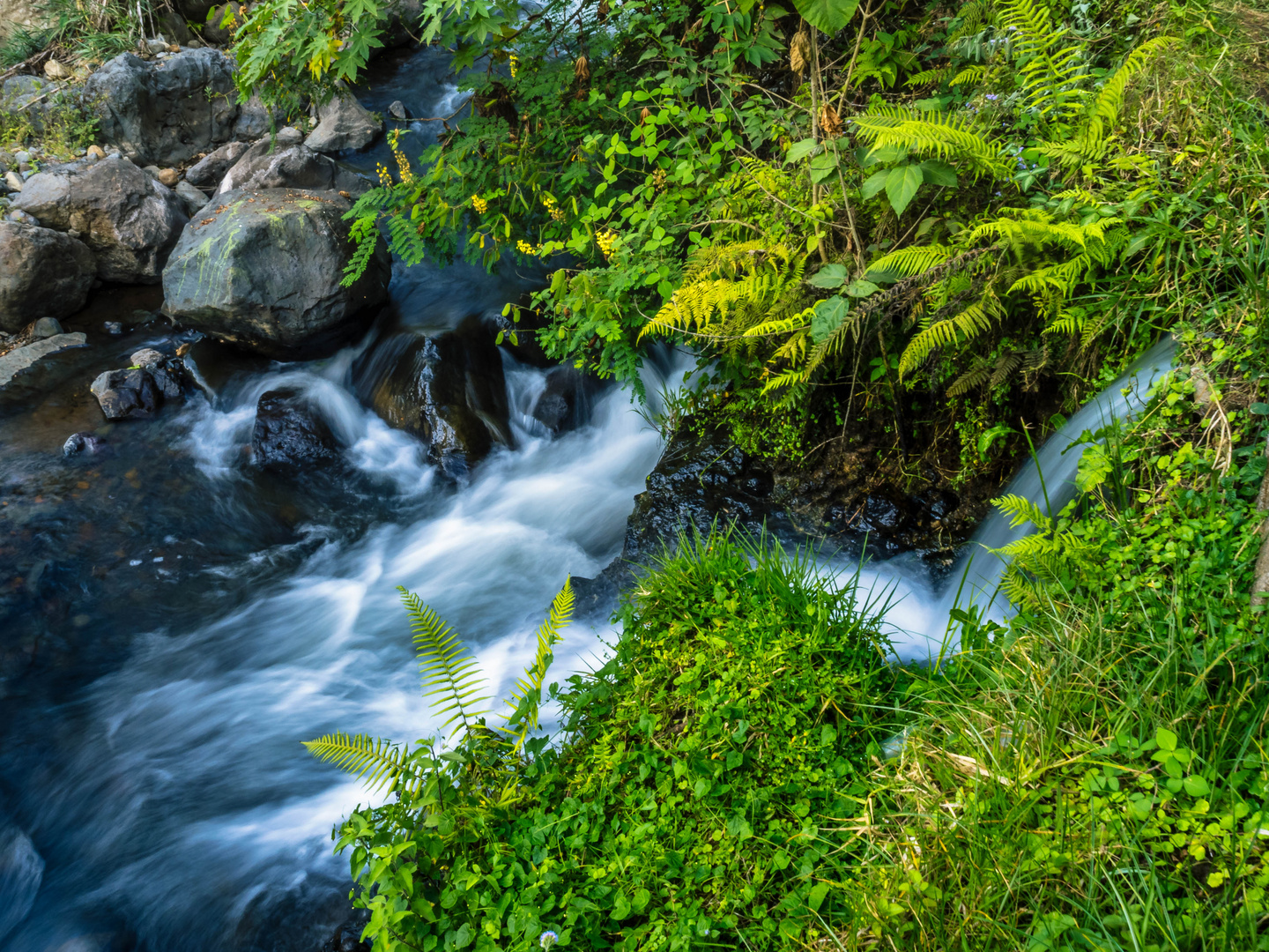 Der kleine Wasserfall im Wald