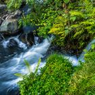 Der kleine Wasserfall im Wald