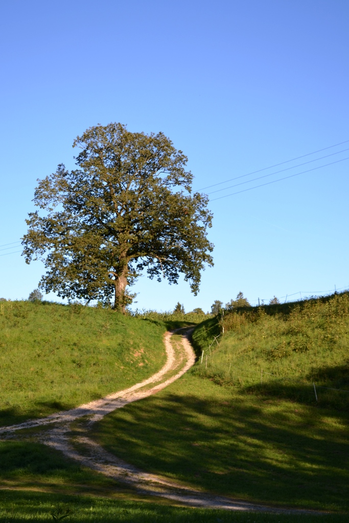 Der kleine Weg :)