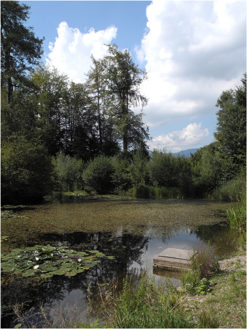 der kleine Weiher...