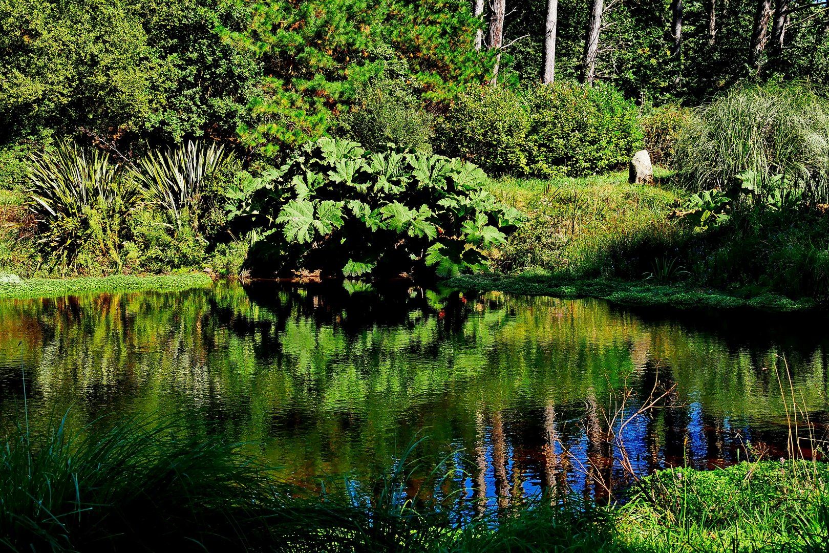 Der kleine Weiher