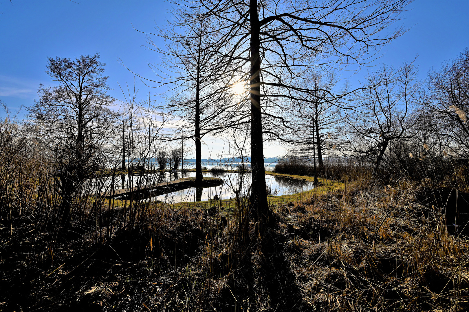 Der kleine Weiher