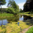 der kleine Weiher