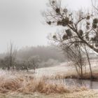 Der kleine Weiher