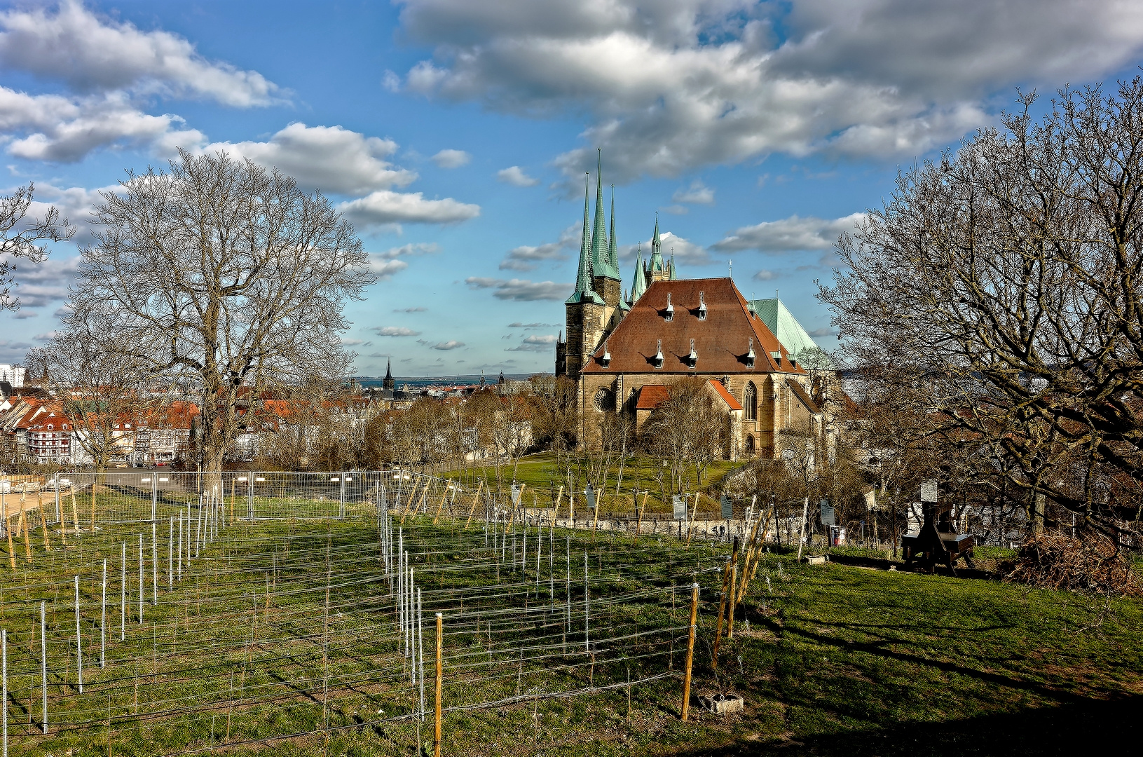 ... der kleine Weinberg ...