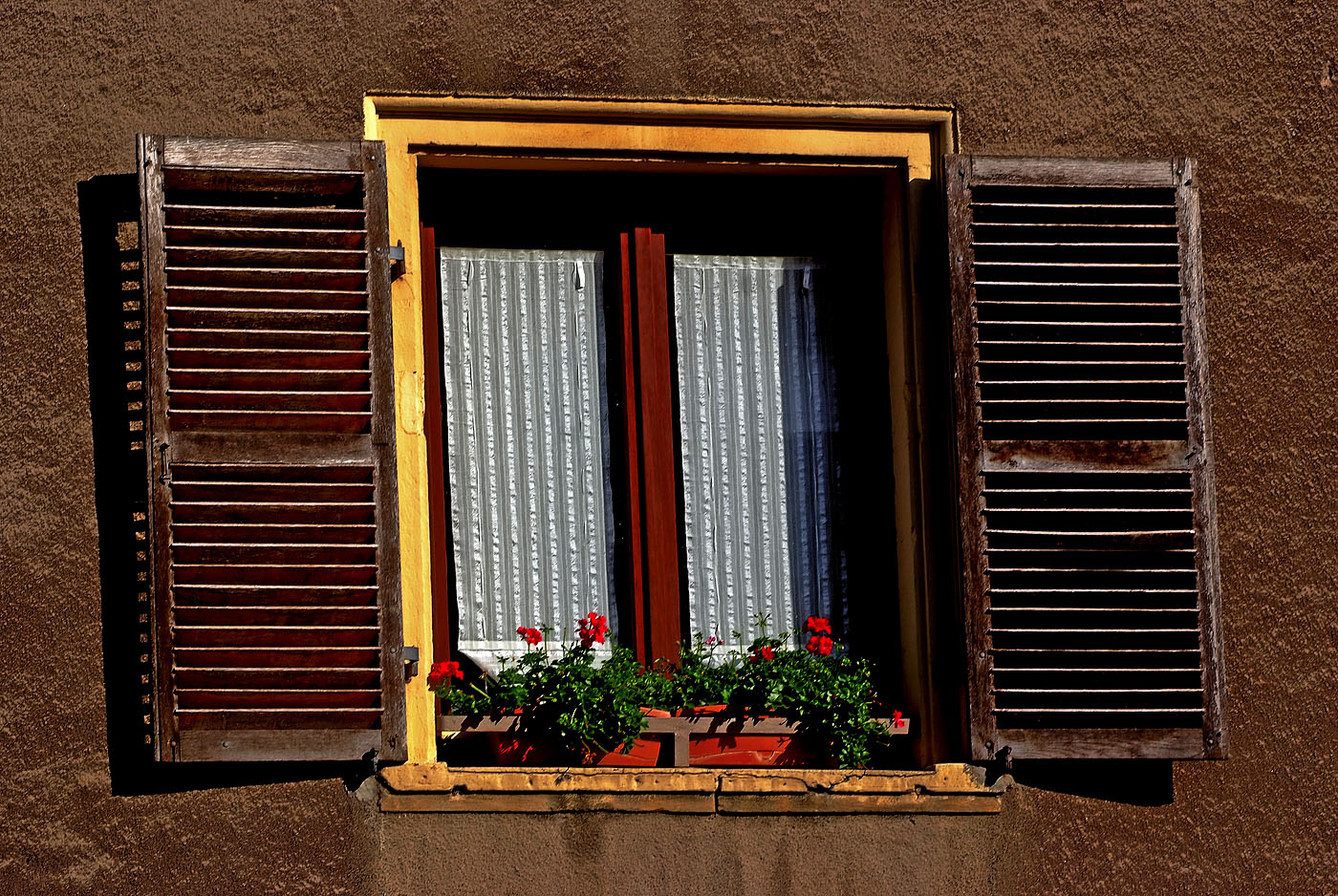 Der Kleingarten auf der Fensterbank ...