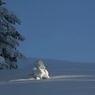 ...der kleinste steht im scheinwerferlicht...