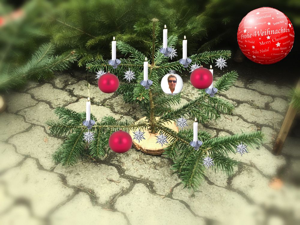 der klein(st)e Weihnachtsbaum ist geschmückt